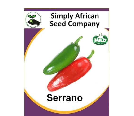 Serrano Chilli 30's