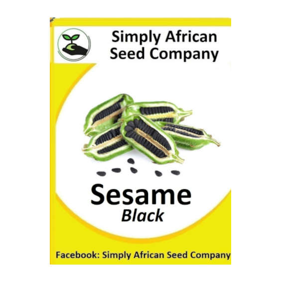 Sesame Black 50's