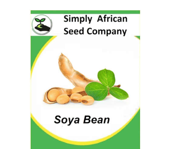 Beans Soya 30's