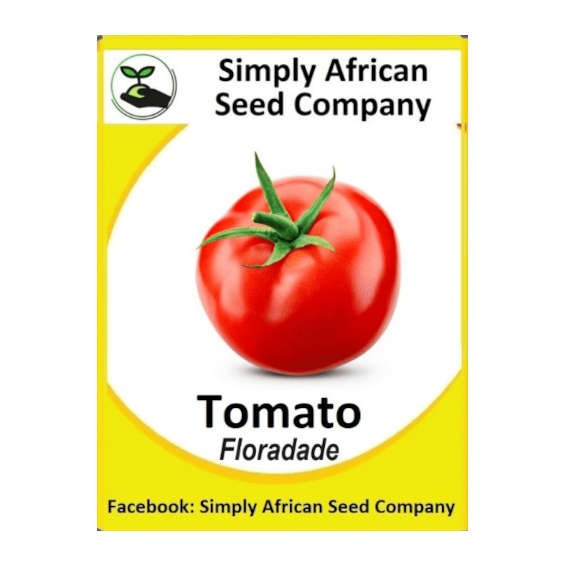 Tomato Floradade 30's