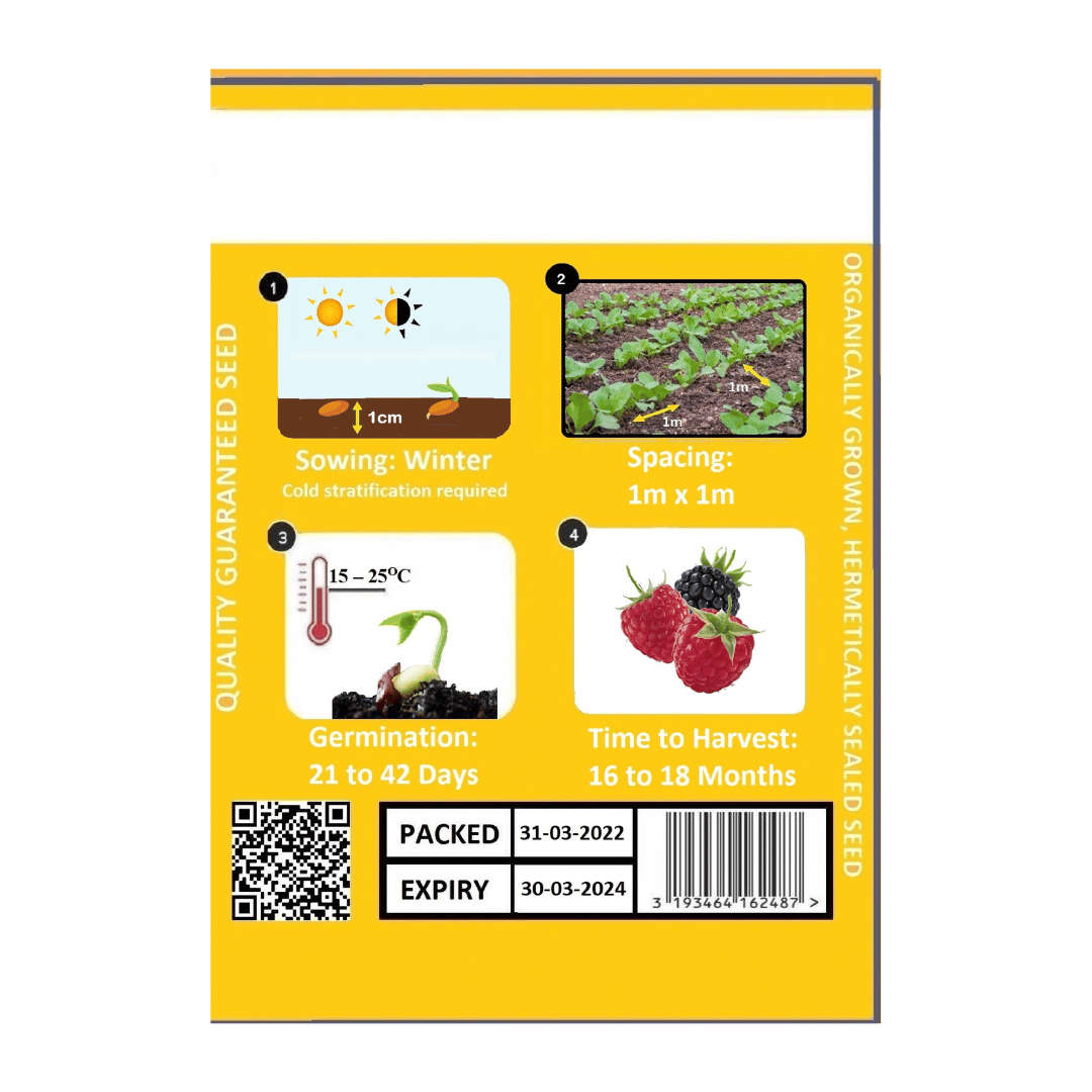 Mixed Raspberry Seeds