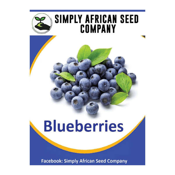 Blueberry Seeds
