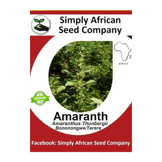 Amaranth,  Amaranthus Thunbergii (Bonongwe/Terere) 100's