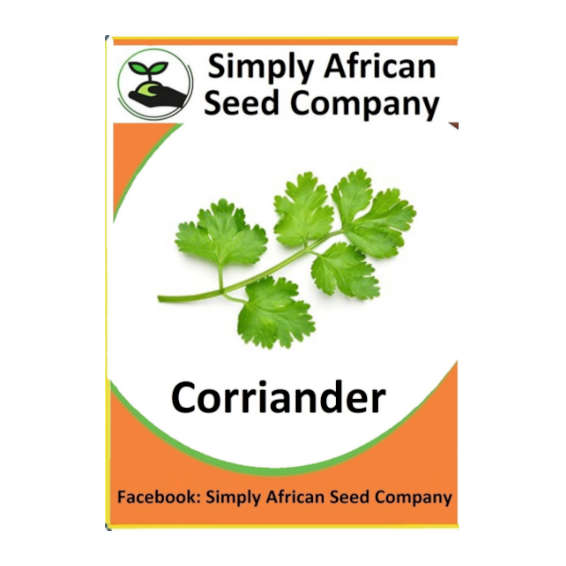 Coriander 30's