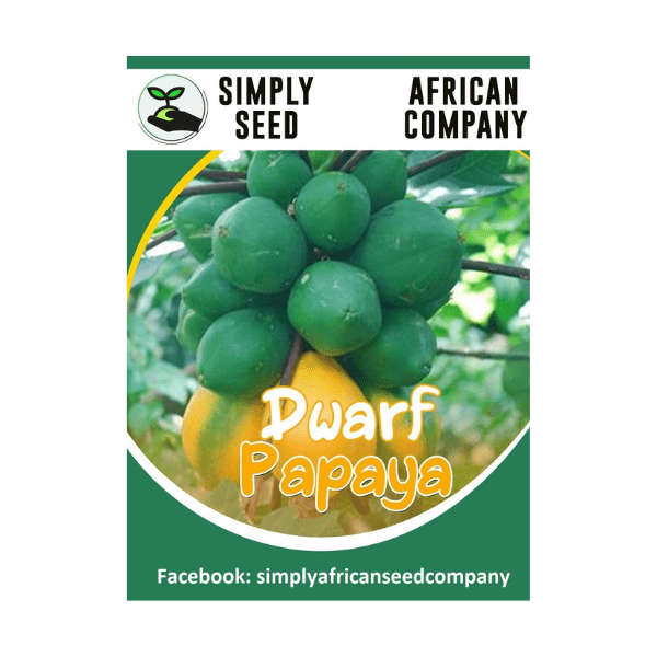 Dwarf Papaya Seeds (Papino)
