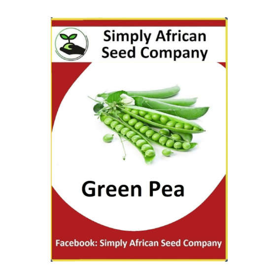 Pea Seeds