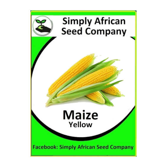 Maize Yellow
