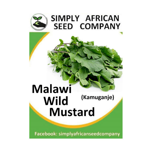 Malawi Wild Mustard (Kamuganje) Seeds
