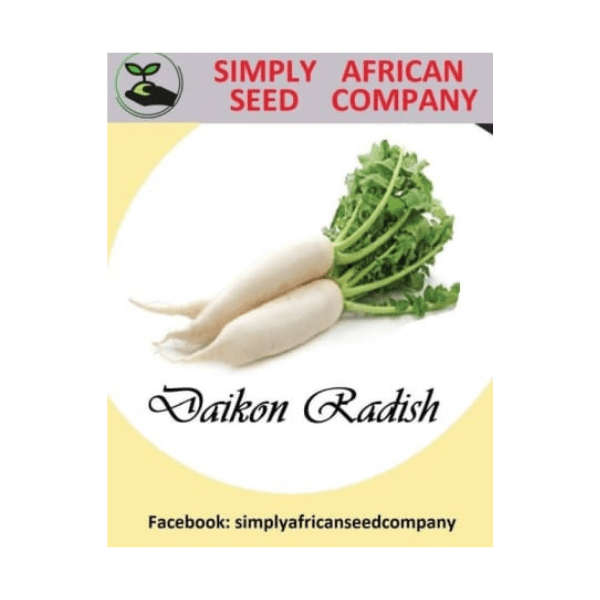 Radish (Daikon) Seeds