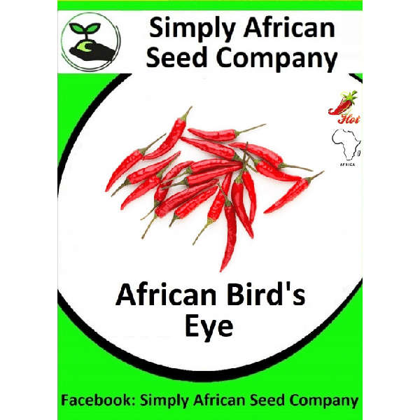 African Birds Eye Chilli Seeds