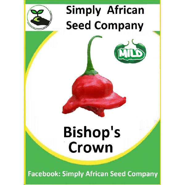 Bishops Crown Seeds