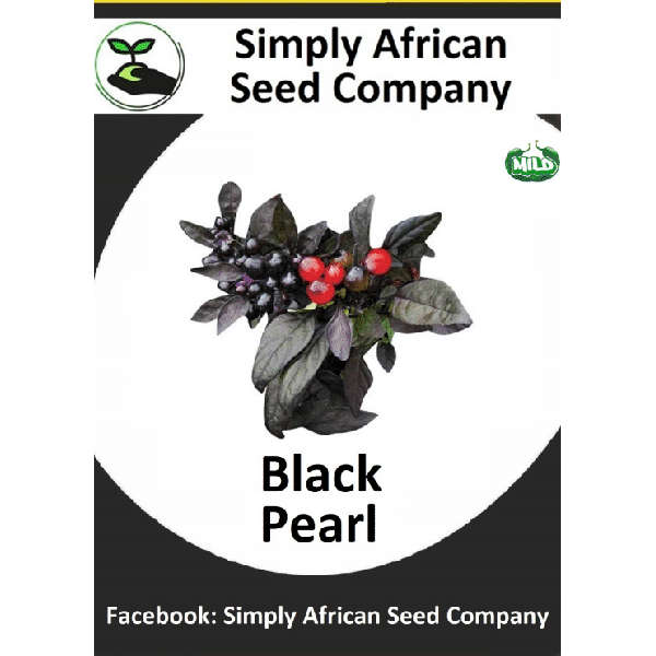 Black Pearl Chilli Seeds
