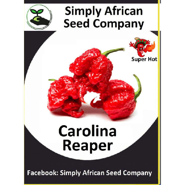 Carolina Reaper Seeds