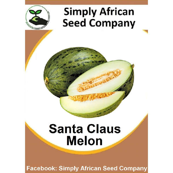 Santa Claus Melon 15's