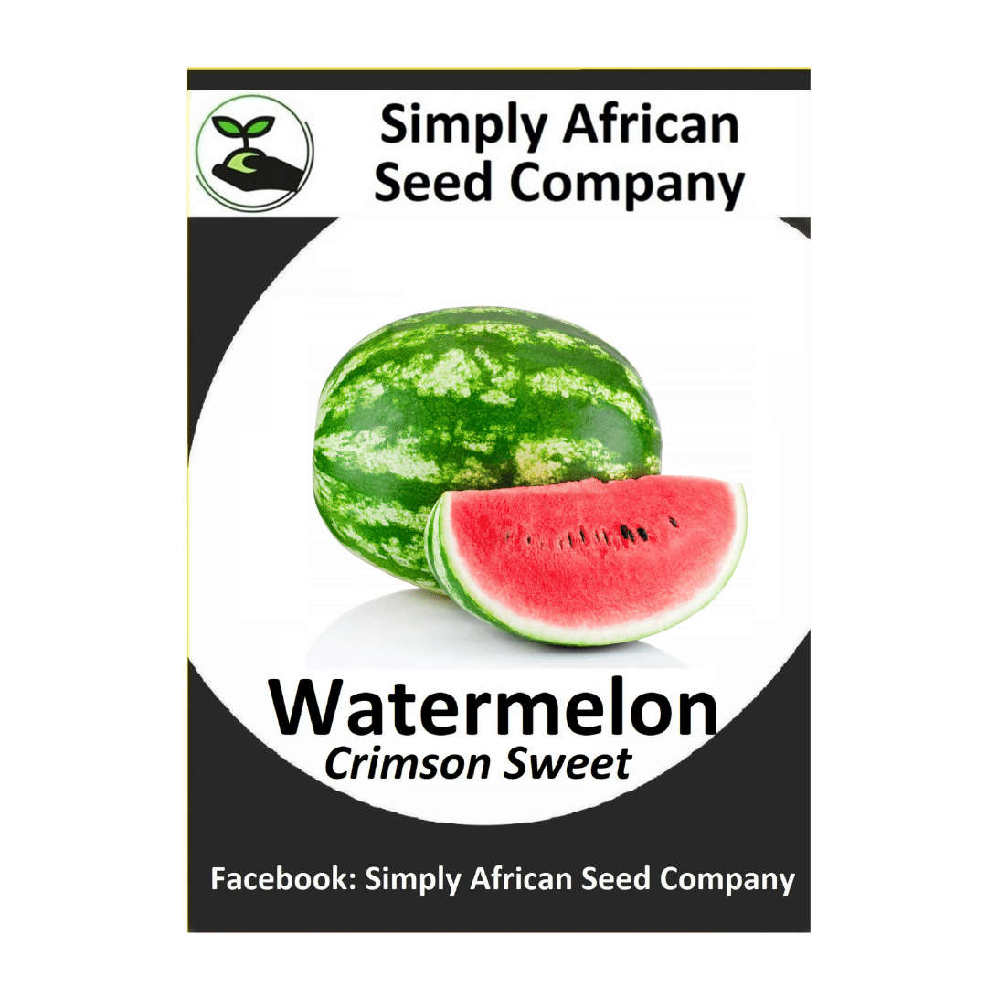 Watermelon (Crimson Sweet) 15's