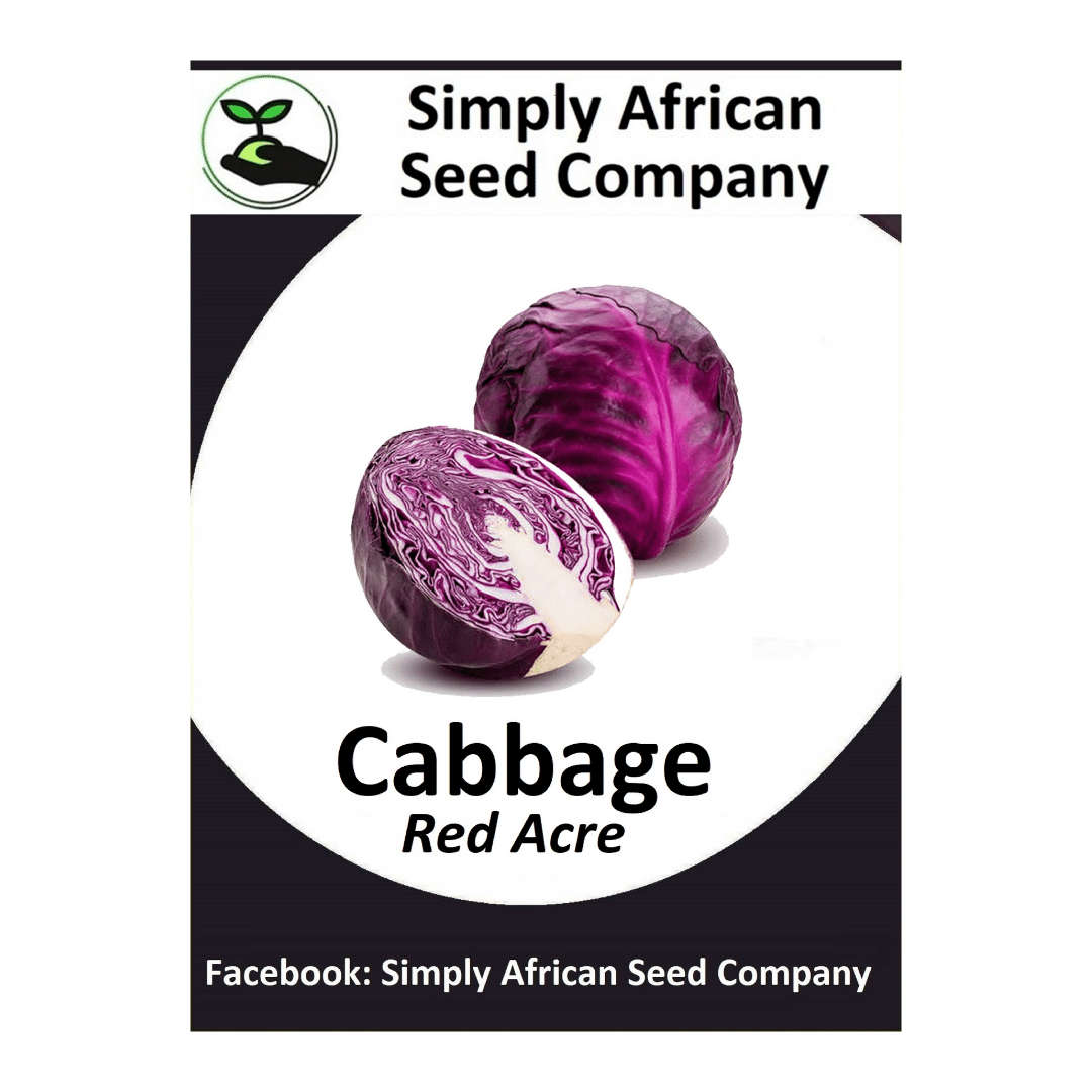 Cabbage Red Acre Seeds