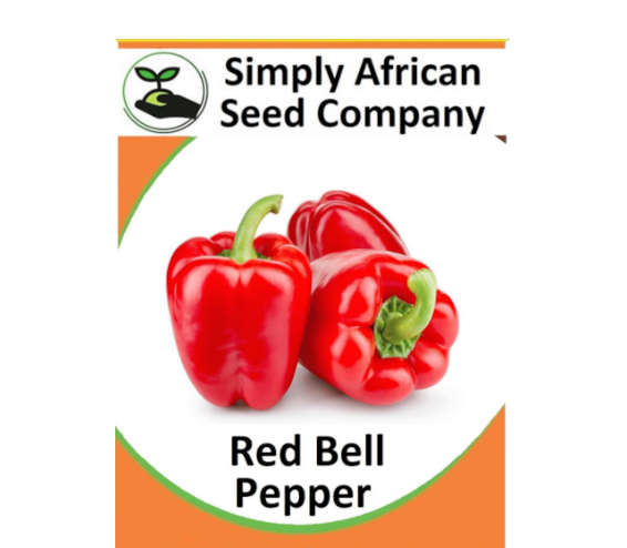 Bell Pepper Red 30's