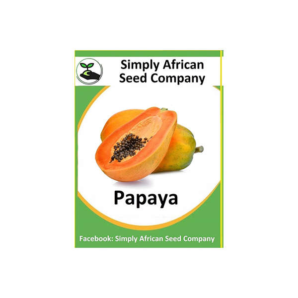 Papaya (Paw-Paw) Seeds