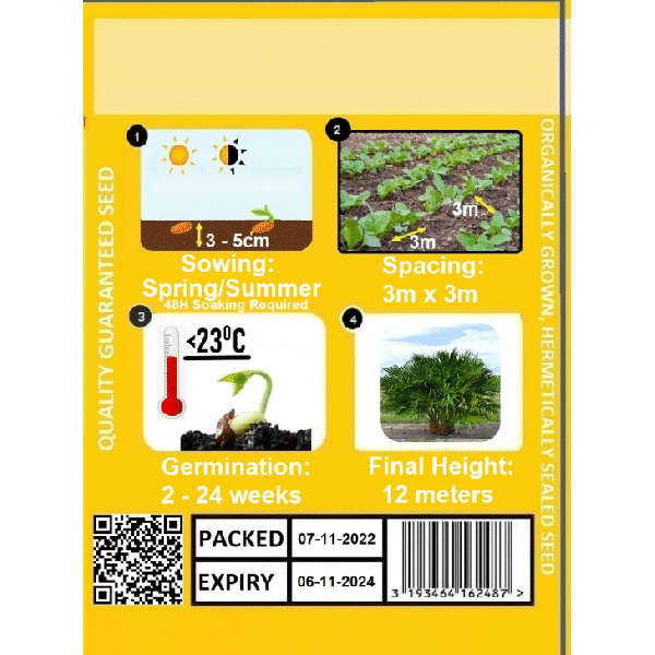 Palm Chinese Fan 3's