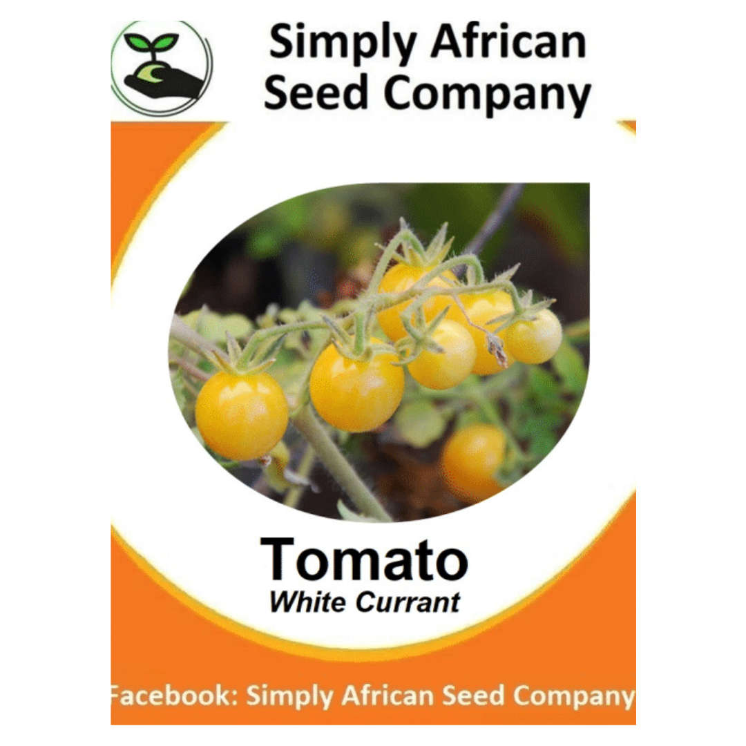 Tomato White Currant 15's