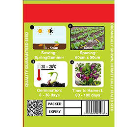 Purple UFO Chilli Seeds