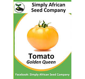 Tomato Golden Queen Seeds