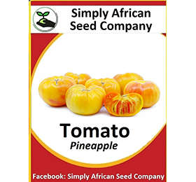 Tomato Pineapple 30's