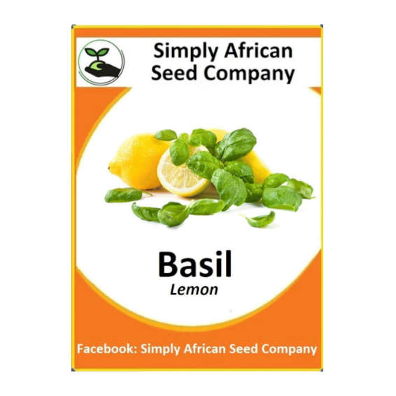 Basil Lemon (50's)