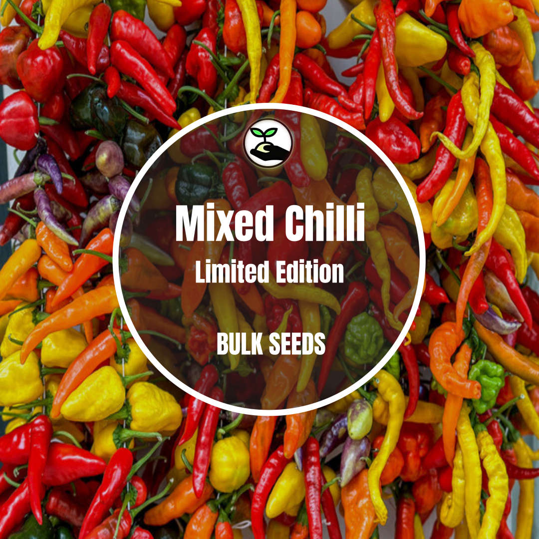 Mixed Chilli (Limited Edition) - Bulk Seeds