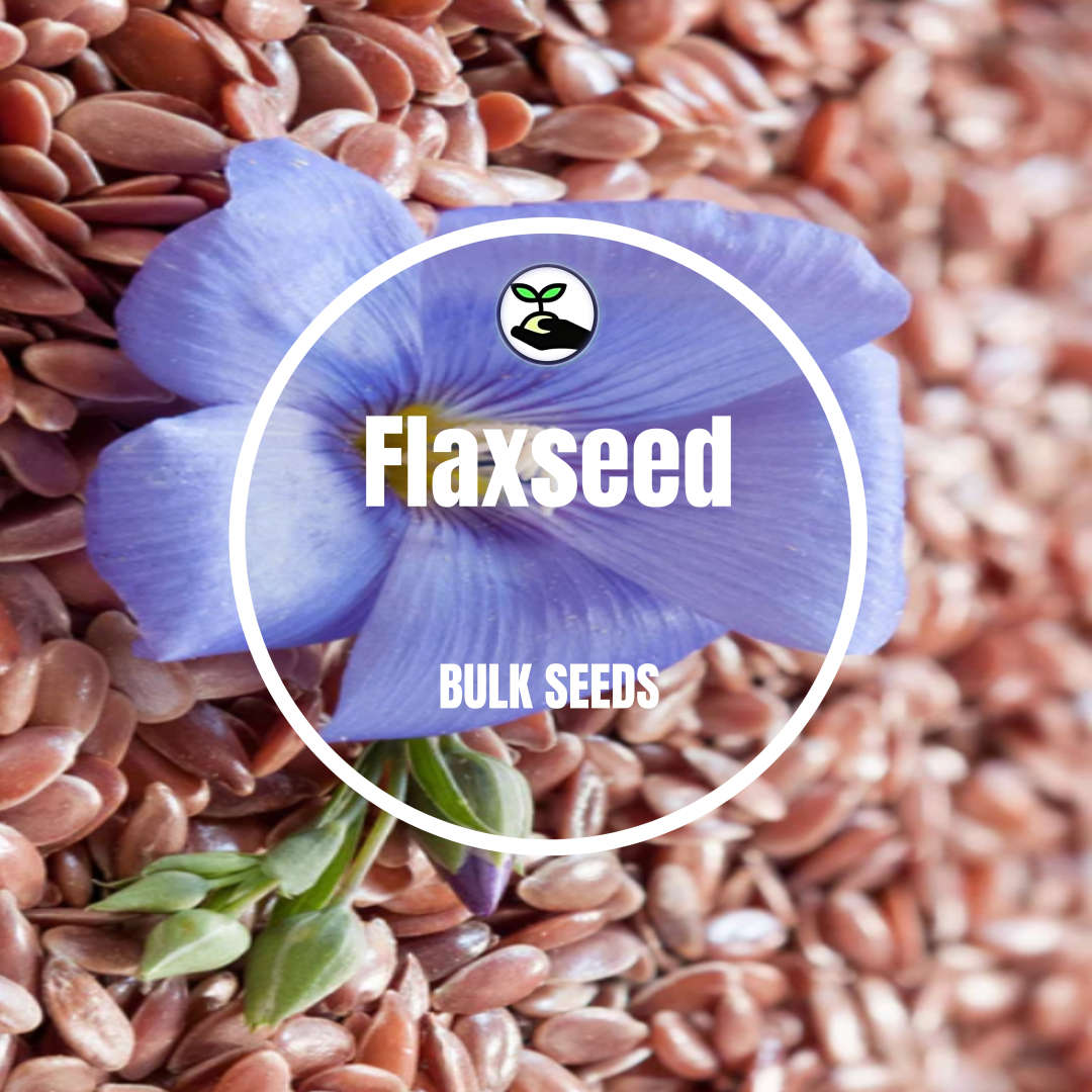 Flaxseed - Bulk Deals