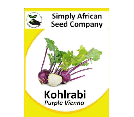 Kohlrabi Purple Vienna 50's