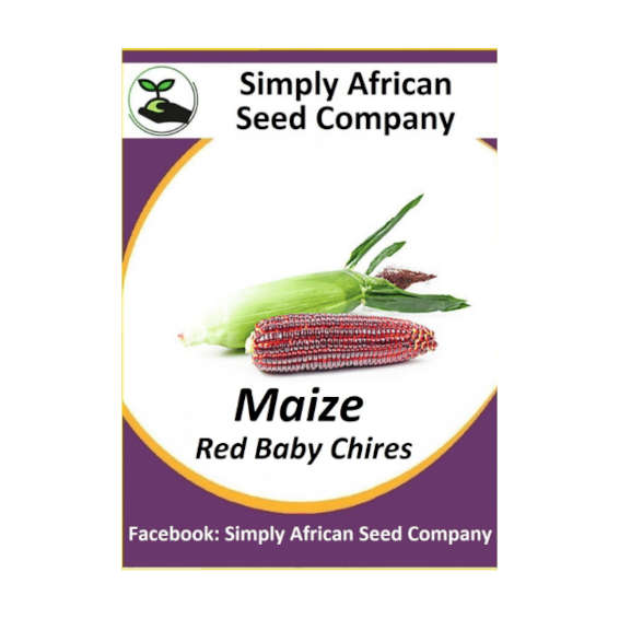 Maize Red Baby chires 12's
