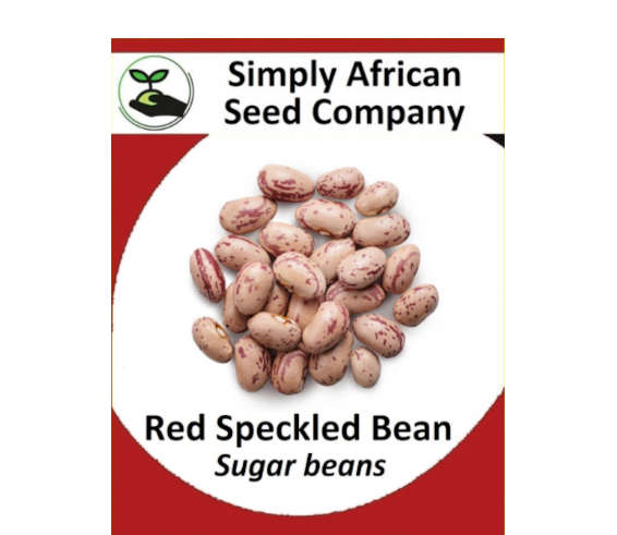 Bean Sugar (Red Speckled) 15's