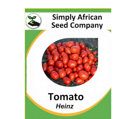 Tomato Heinz 30's