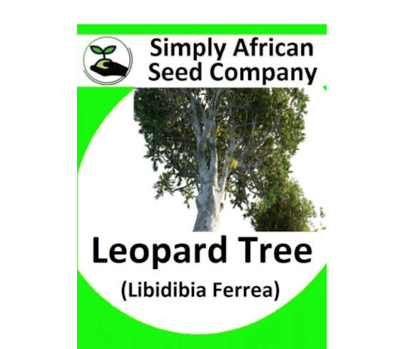 Leopard Tree (Libidibia Ferrea) 6's