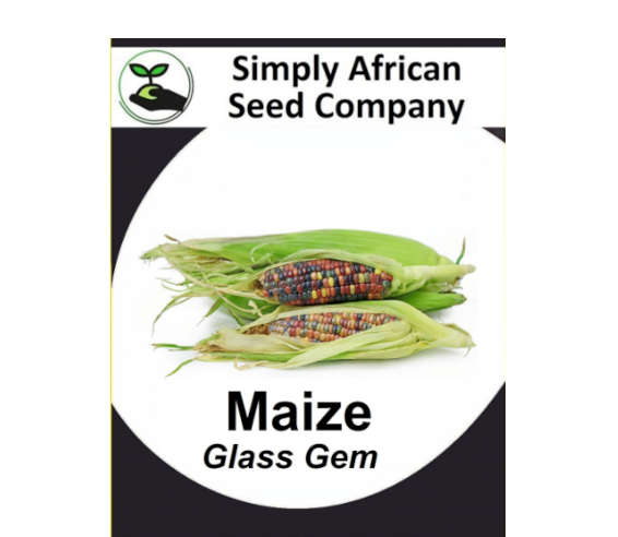 Maize Glass Gem 15's