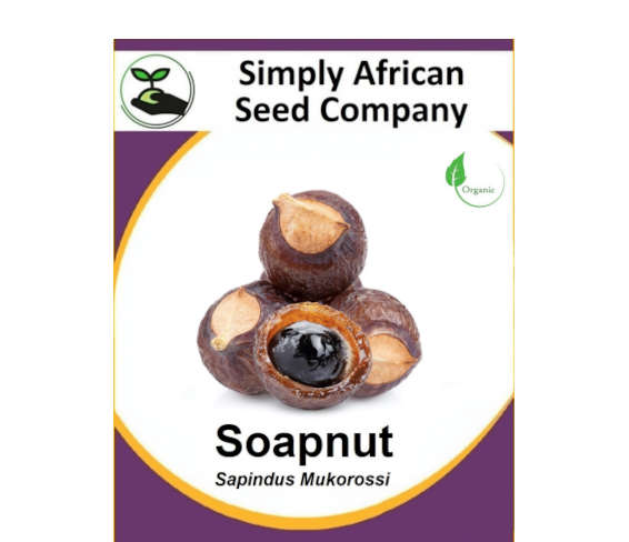 Soapnut (Sapindus Mukorossi) 2's