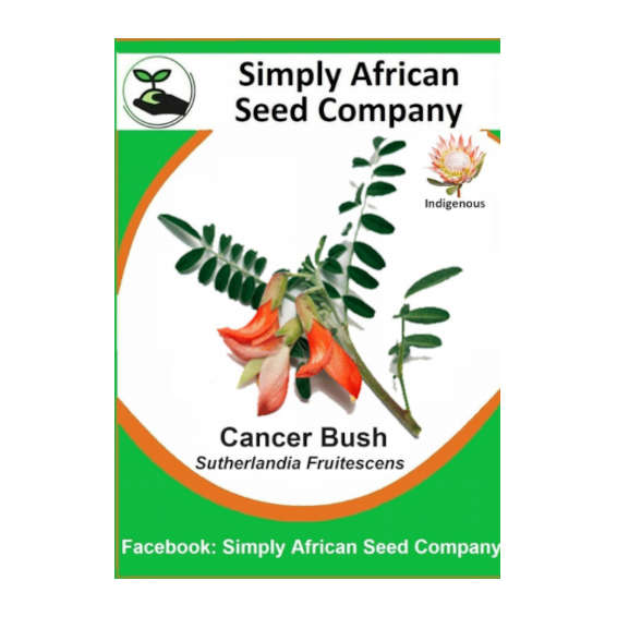 Cancer Bush (Sutherlandia Frutescens) 12's