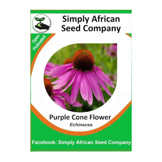 Purple Cone Flower (Echinacea) 20's