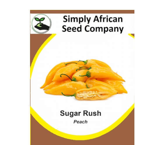 Sugar Rush Peach 12's