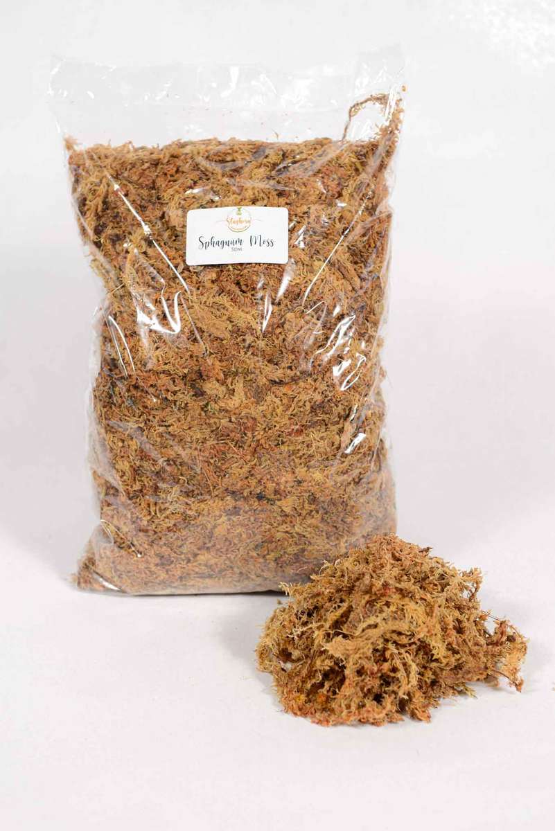 Sphagnum Moss