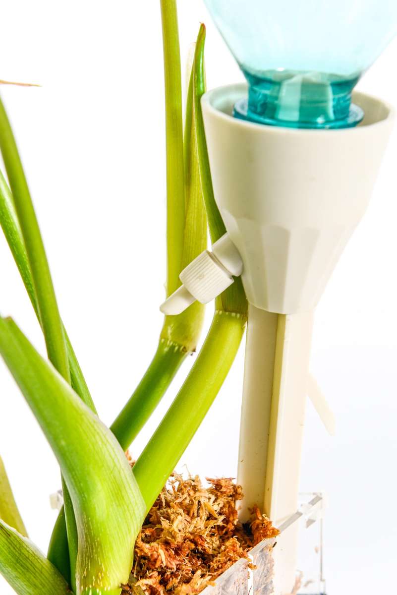 Self watering Dripper