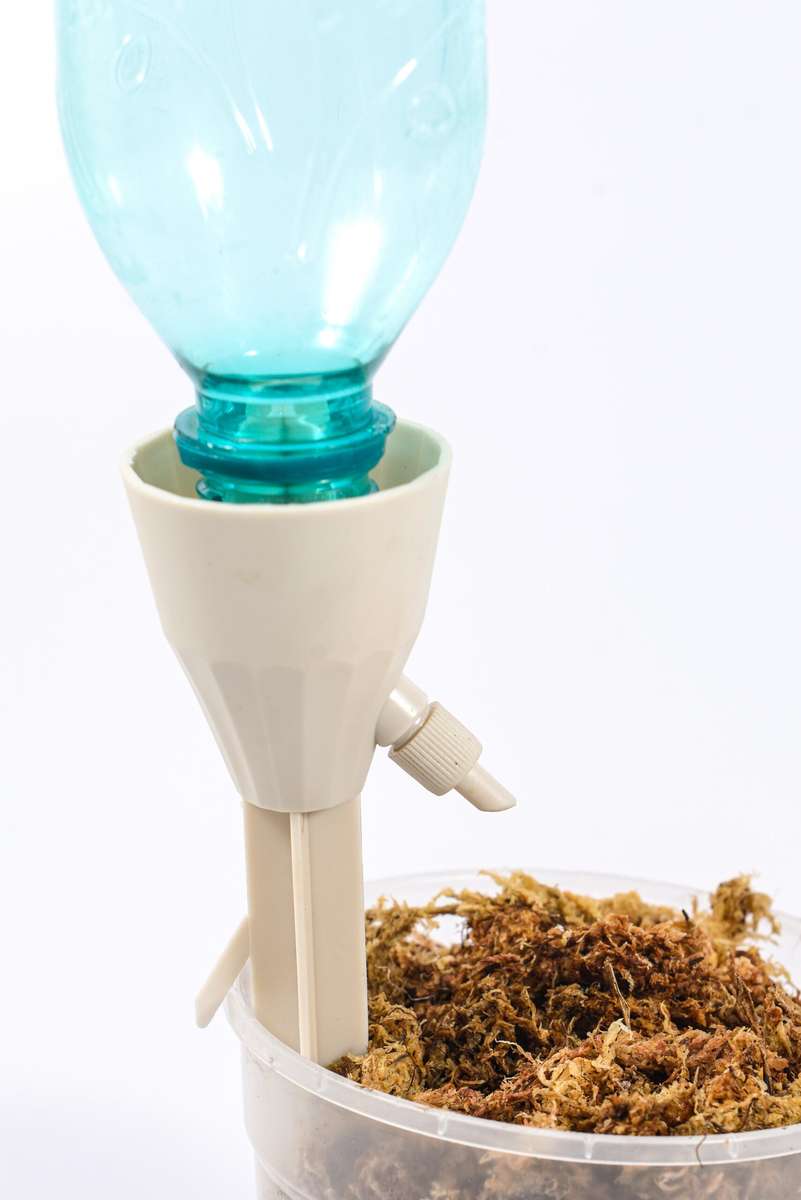 Self watering Dripper