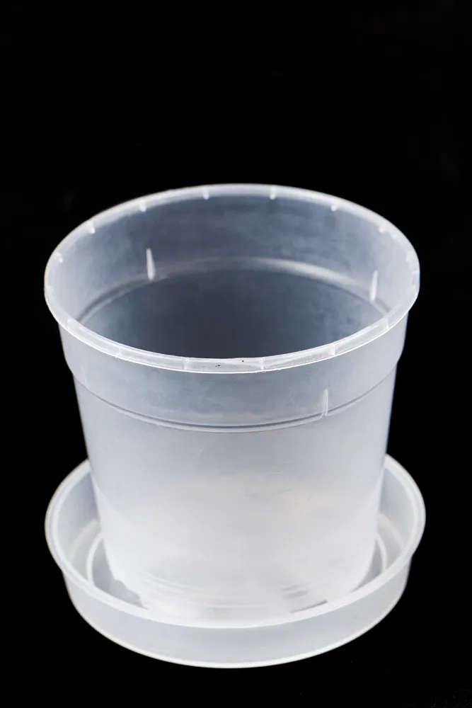 Clear pot saucers