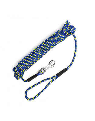 Canine 50mm Web Collar with Handle: Small