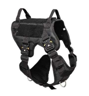 Canine 50mm Web Collar with Handle: Small