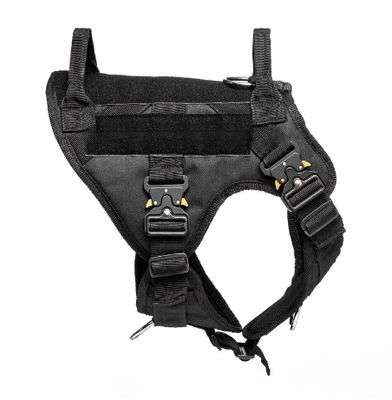 Canine 50mm Web Collar with Handle: Large