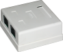 Cat-5E Surface Mount Box Double Port