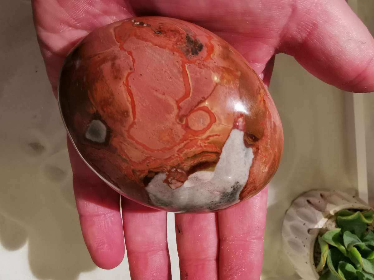 They call me Picasso Jasper