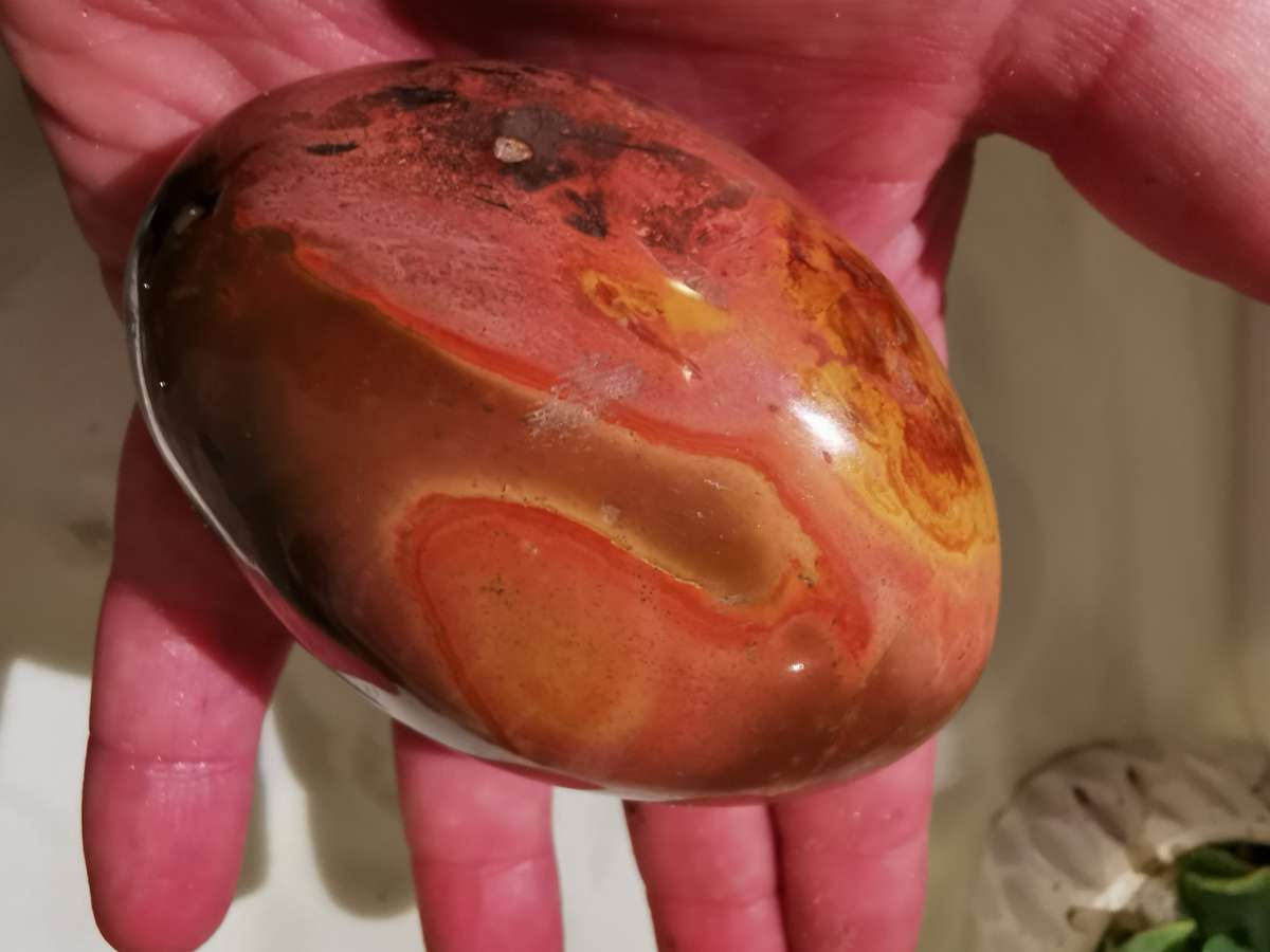 They call me Picasso Jasper